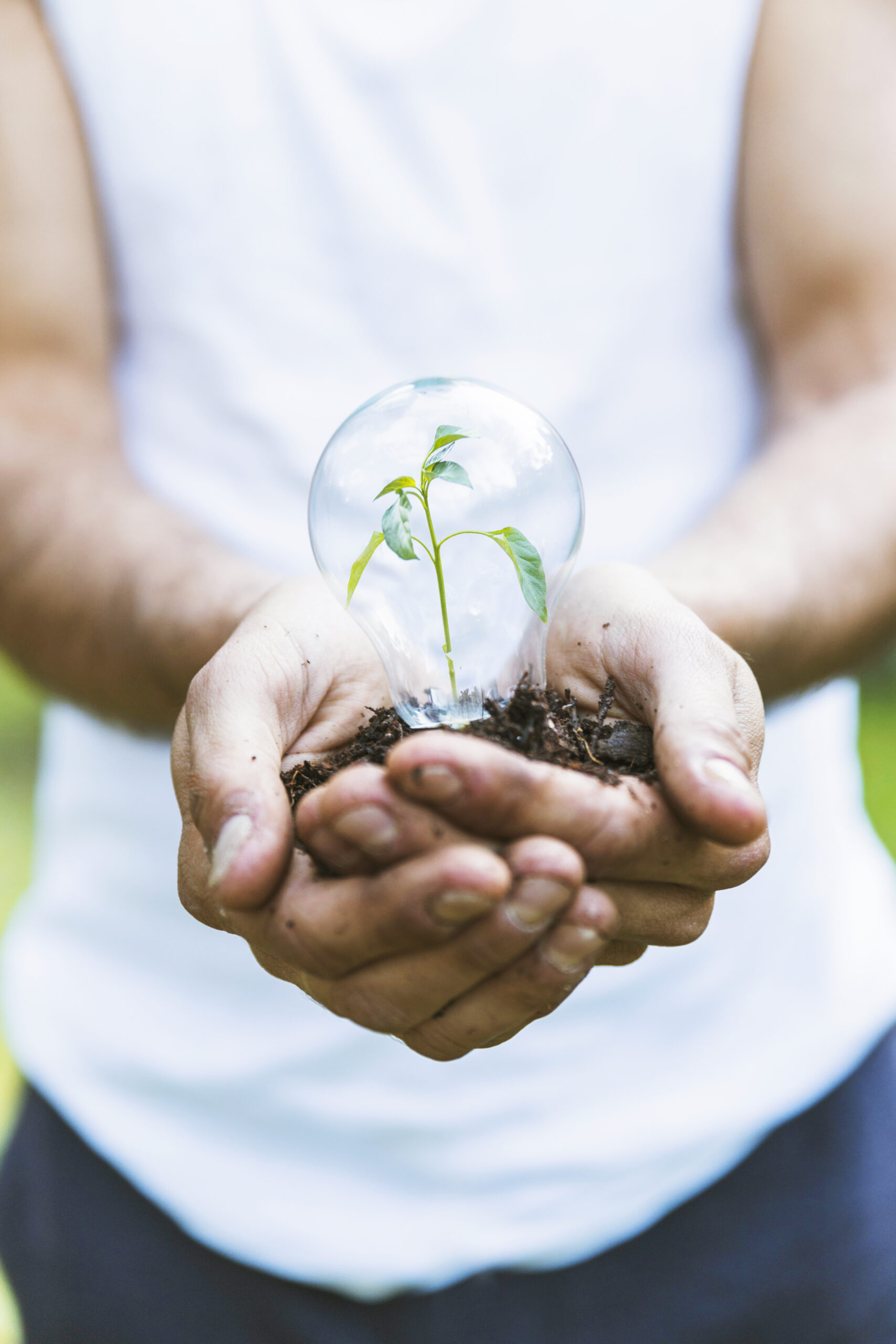 usine-de-concept-dans-le-bulbe-de-verre